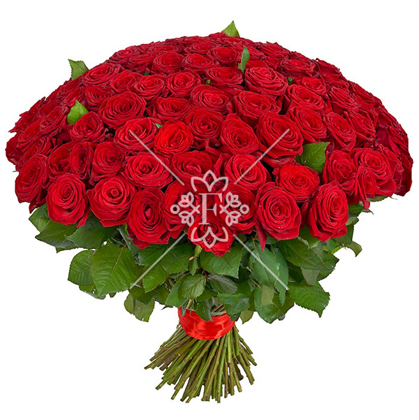 Букет из 101 красной розы